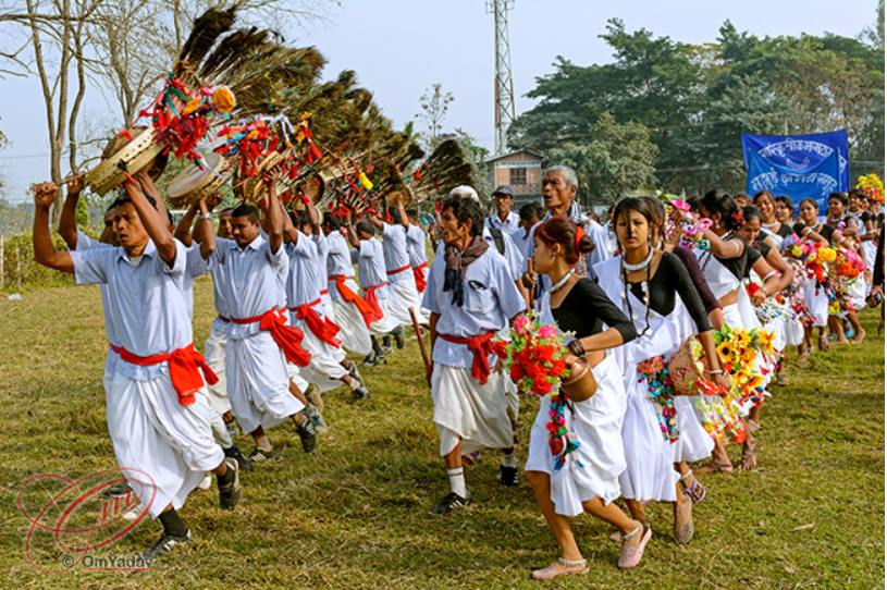 Tharu Cultural Dance